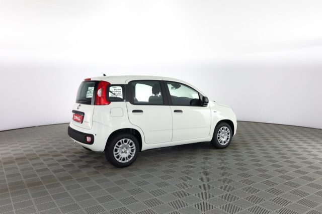 FIAT Panda usata 2