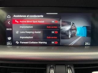 ALFA ROMEO Stelvio usata, con Vetri oscurati
