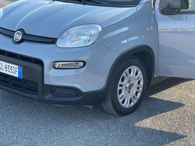 FIAT Panda usata, con Controllo trazione