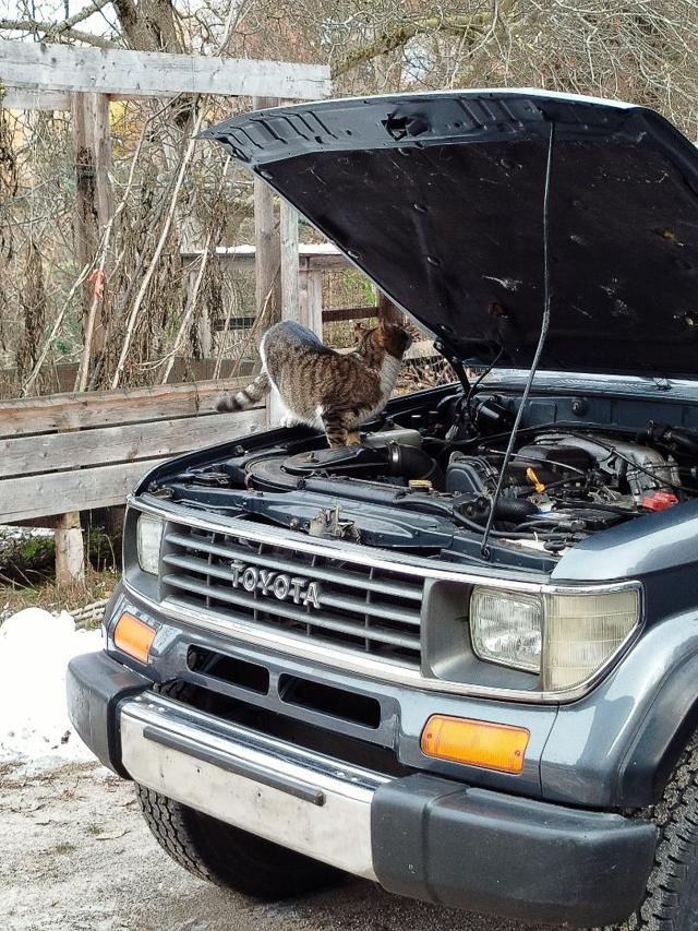 TOYOTA Land Cruiser usata, con Trazione integrale