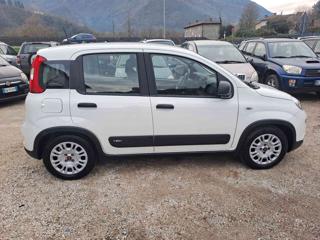 FIAT Panda usata, con ESP