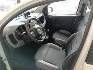 FIAT Panda usata, con Vivavoce