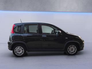 FIAT Panda usata 20