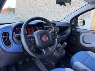 FIAT Panda usata, con Climatizzatore