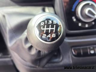 FIAT  usata 15