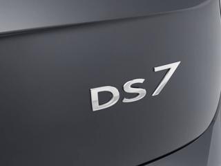 DS AUTOMOBILES DS 7 usata, con Autoradio digitale