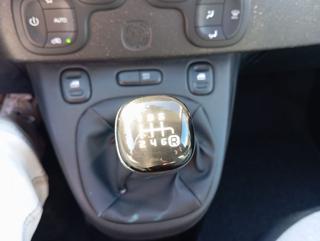 FIAT Panda Cross usata, con Immobilizzatore elettronico