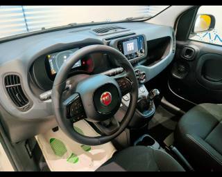 FIAT New Panda usata, con Controllo automatico clima