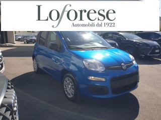 FIAT Panda usata, con Airbag Passeggero