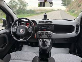 FIAT Panda usata, con Immobilizzatore elettronico