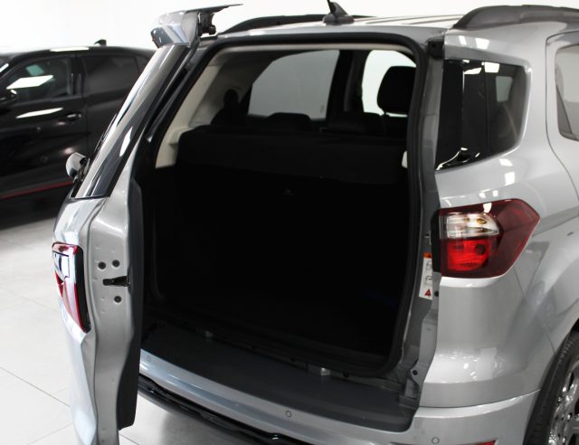 FORD EcoSport usata, con USB