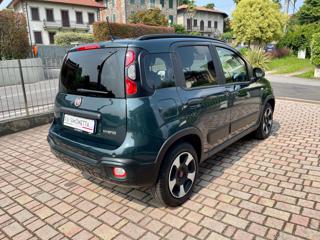 FIAT Panda Cross usata, con Alzacristalli elettrici