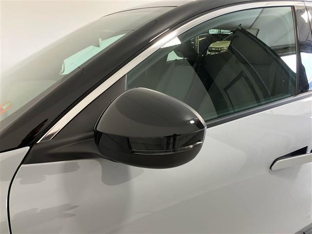 RENAULT Megane usata 26