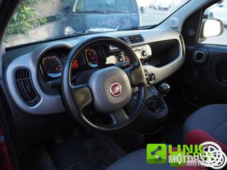 FIAT Panda usata 3