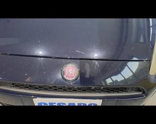 FIAT Punto usata 32
