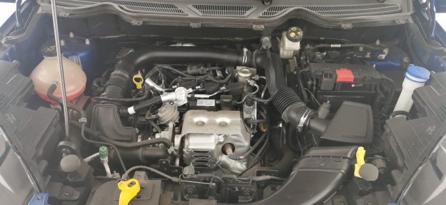 FORD EcoSport usata 59