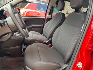 FIAT Panda Cross usata, con Immobilizzatore elettronico