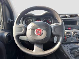 FIAT Panda usata 11