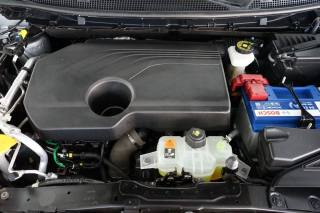 RENAULT Kadjar usata 51