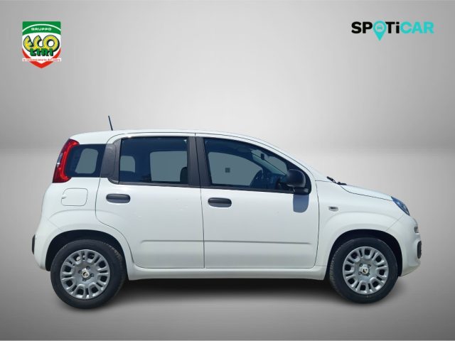 FIAT Pandina usata, con Airbag Passeggero