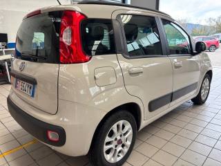 FIAT Panda usata 4