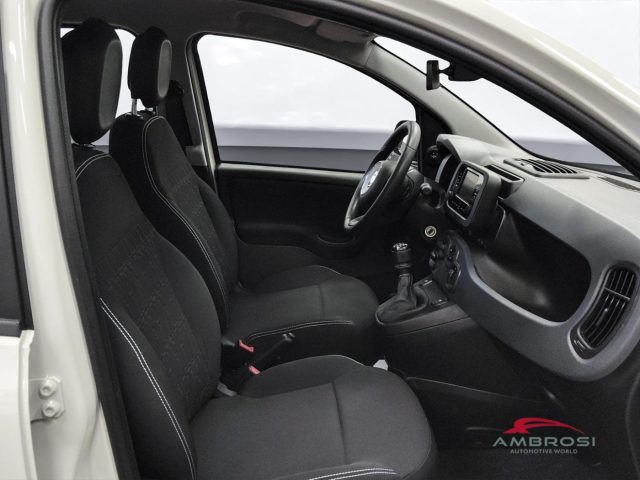 FIAT Panda usata 11