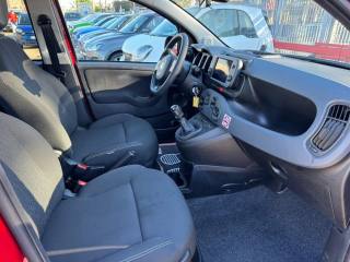 FIAT Panda Cross usata, con Immobilizzatore elettronico