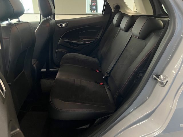 FORD EcoSport usata, con Fendinebbia