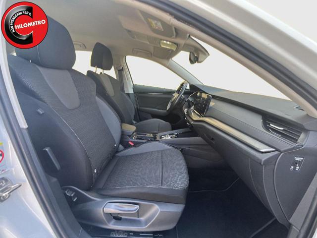 SKODA Octavia usata, con Cruise Control