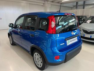 FIAT Panda usata, con Climatizzatore