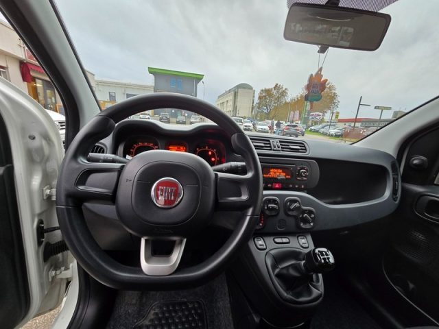 FIAT Panda usata 15