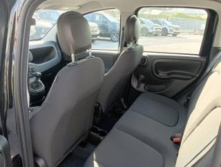 FIAT Panda usata, con Servosterzo