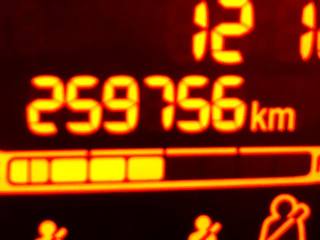 FIAT Panda usata 12