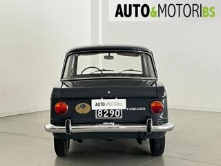 FIAT 1100 usata 4