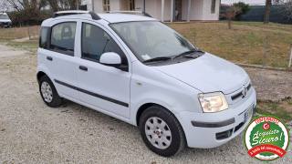 FIAT Panda usata 13