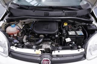 FIAT New Panda usata 25