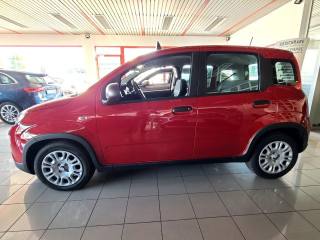 FIAT Panda usata, con Servosterzo