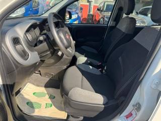 FIAT Panda usata 7