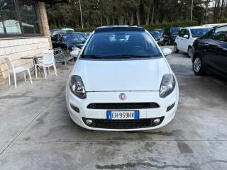 FIAT Punto usata, con Airbag