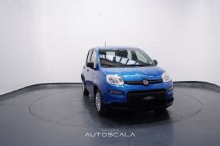 FIAT Panda usata, con Controllo trazione