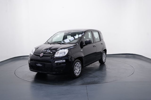 FIAT New Panda usata, con ABS
