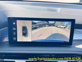 ALFA ROMEO Tonale usata, con Sedili riscaldati