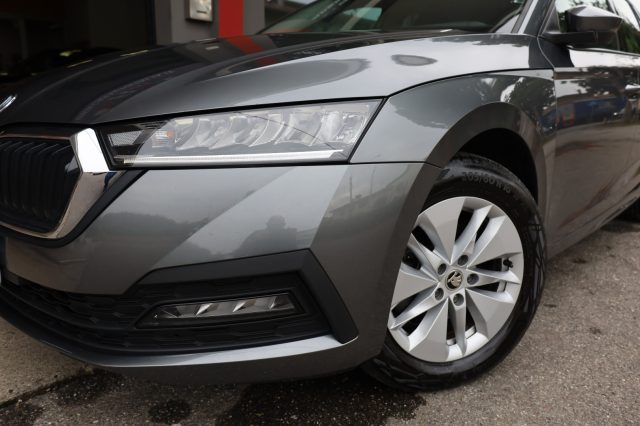 SKODA Octavia usata 162