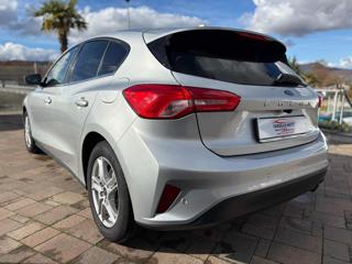 FORD Focus usata, con Airbag Passeggero