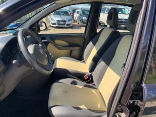 FIAT Panda usata, con Fendinebbia