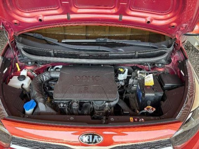 KIA Picanto usata, con Controllo trazione