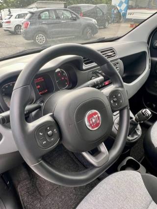 FIAT Panda usata, con Servosterzo