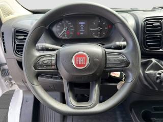 FIAT Ducato usata 10