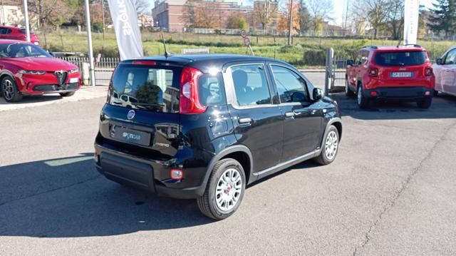 FIAT Panda usata, con Alzacristalli elettrici