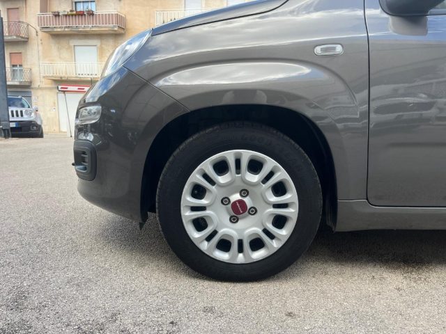 FIAT Panda usata, con Airbag testa